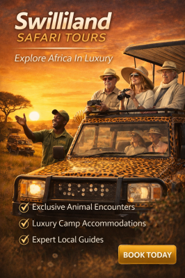 Swililand Safari Tours!